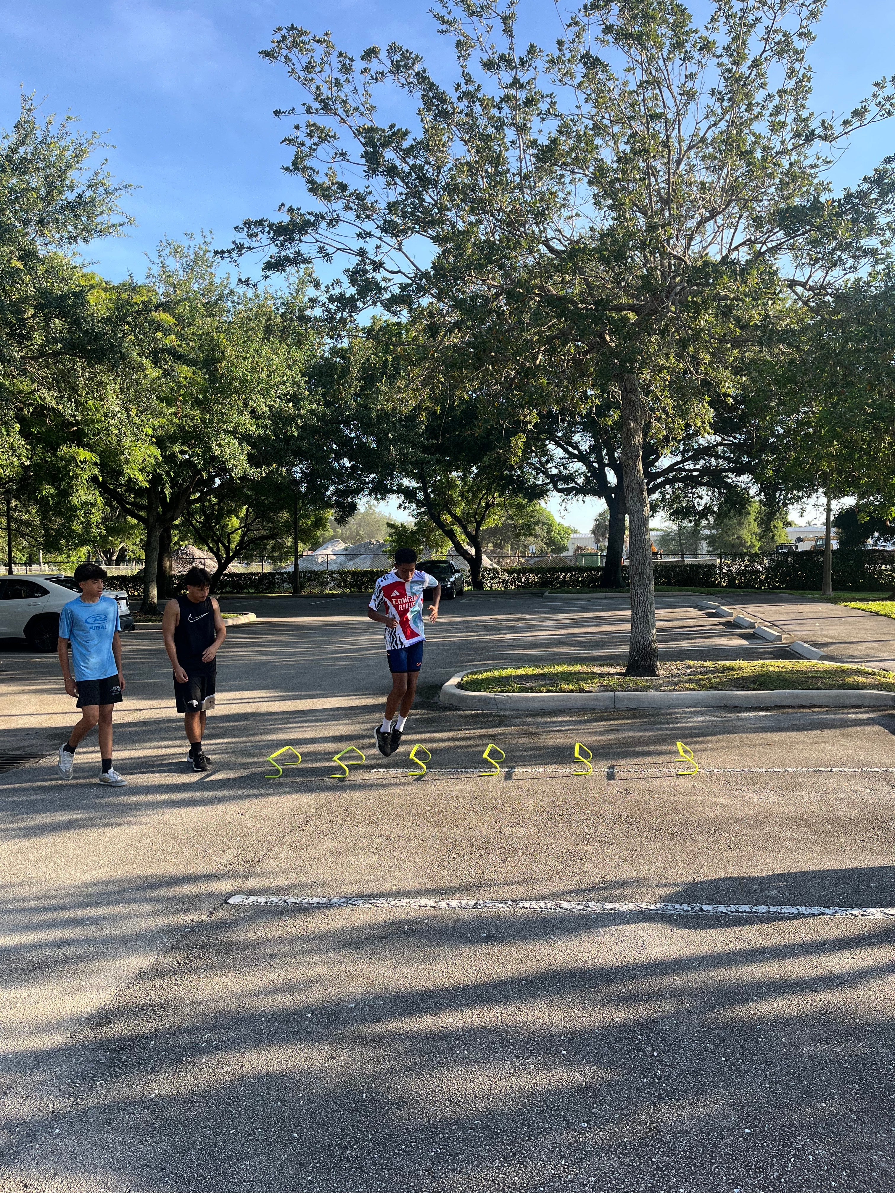 Core Performance Summer Workout Program