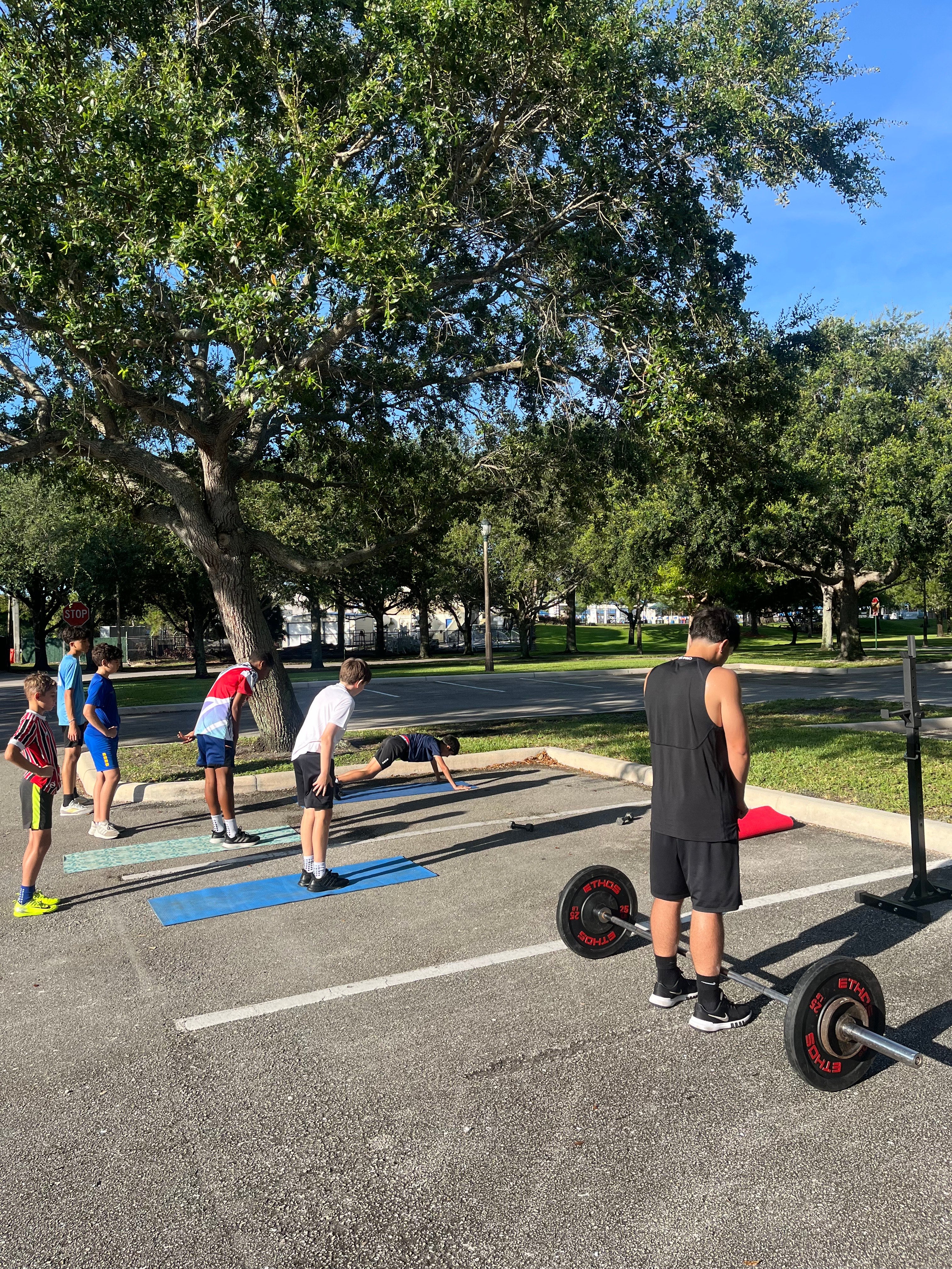 Core Performance Summer Workout Program